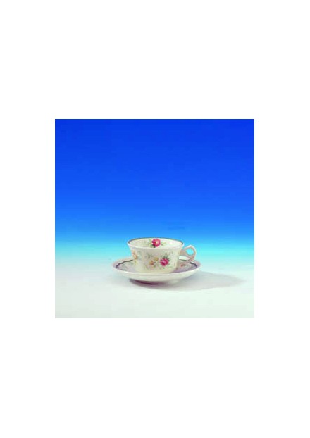 Taza y Plato café