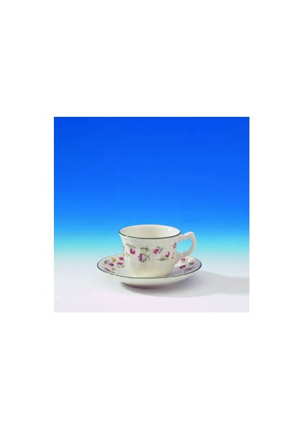 Taza y Plato té